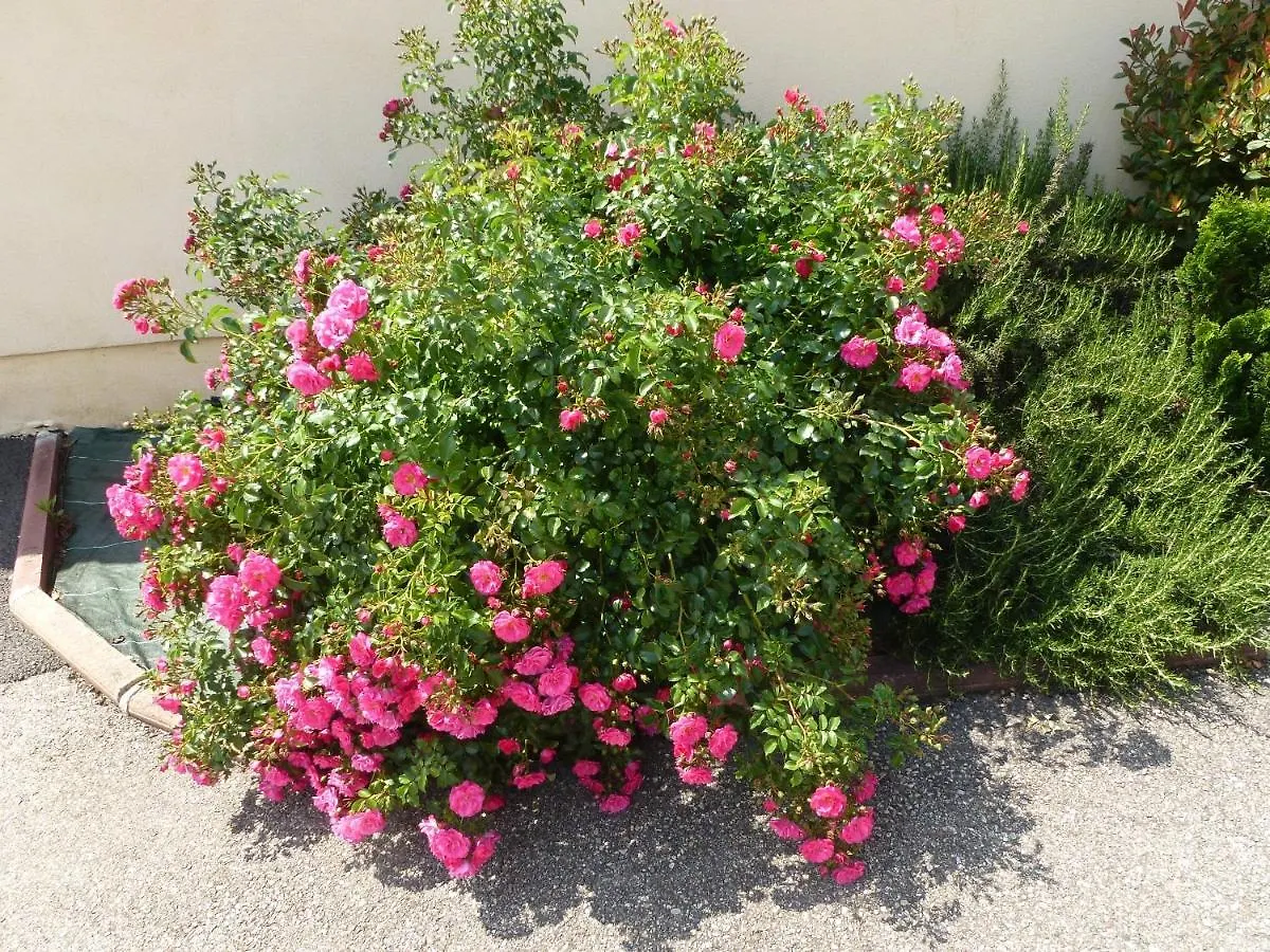 Chambres D'Hotes Les Terrasses De Fleurieux Guest House 0*, Fleurieux-sur-l'Arbresle France
